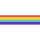 Jewish Autonomous Oblast Parliament Election: Party Winner